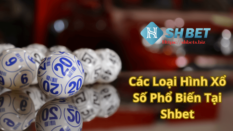 Các Loại Hình Xổ Số Phổ Biến Tại Shbet