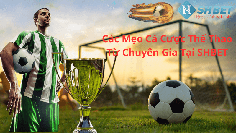 Các Mẹo Cá Cược Thể Thao Từ Chuyên Gia Tại SHBET