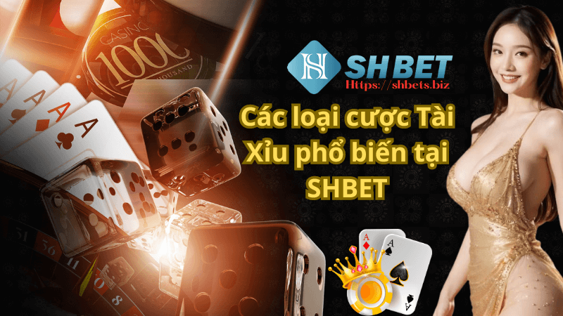 Các loại cược Tài Xỉu phổ biến tại SHBET