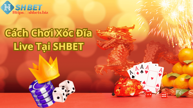 Cách Chơi Xóc Đĩa Live Tại SHBET