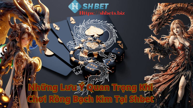 Những Lưu Ý Quan Trọng Khi Chơi Rồng Bạch Kim Tại Shbet