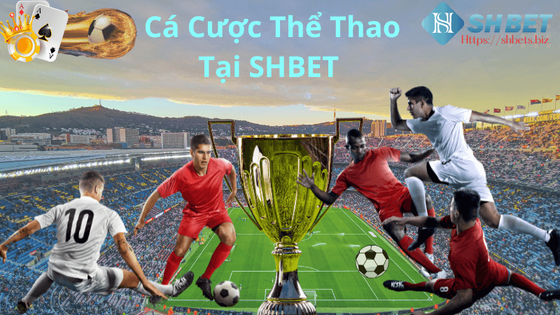 Hiểu Rõ Các Loại Hình Cá Cược Thể Thao Tại SHBET