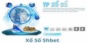 Cao Thủ Soi Cầu - 5 Bí Kíp Giúp Bạn Thắng Lớn